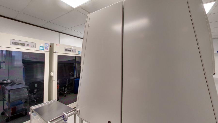 Celltex Therapeutics Corporation photo 4