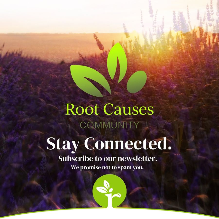 Root Causes Medicine photo 3